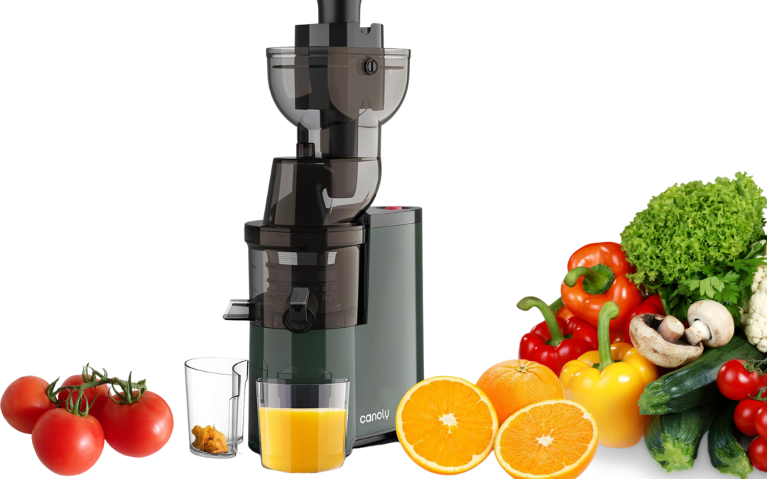 Masticating 250W Professional Slow Juicer